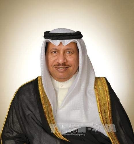 Vietnam und Kuwait wollen Zusammenarbeit vertiefen - ảnh 1